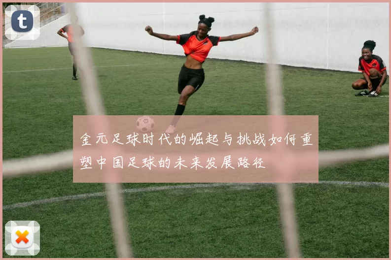 金元足球时代的崛起与挑战如何重塑中国足球的未来发展路径