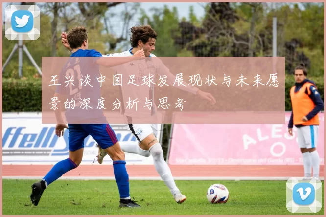 王兴谈中国足球发展现状与未来愿景的深度分析与思考